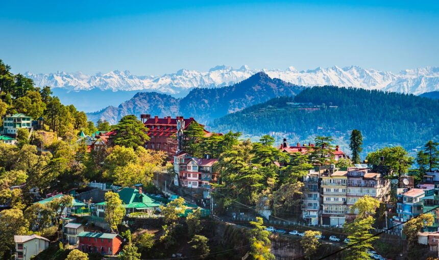 Shimla