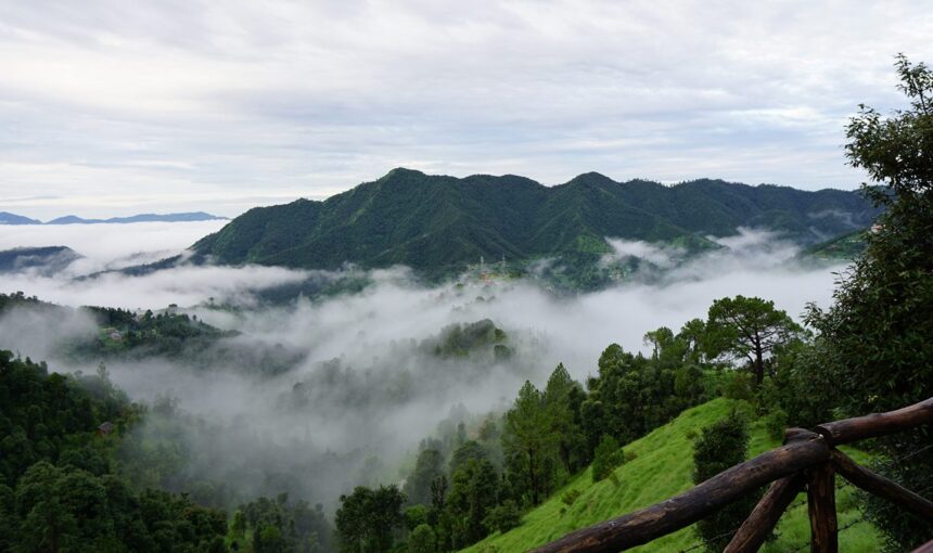 Shoghi